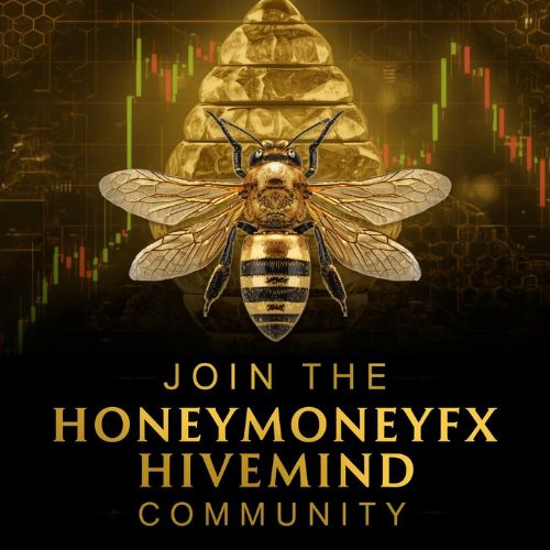 Discord Community & Signals Group Access - Signals everyday & Coaching